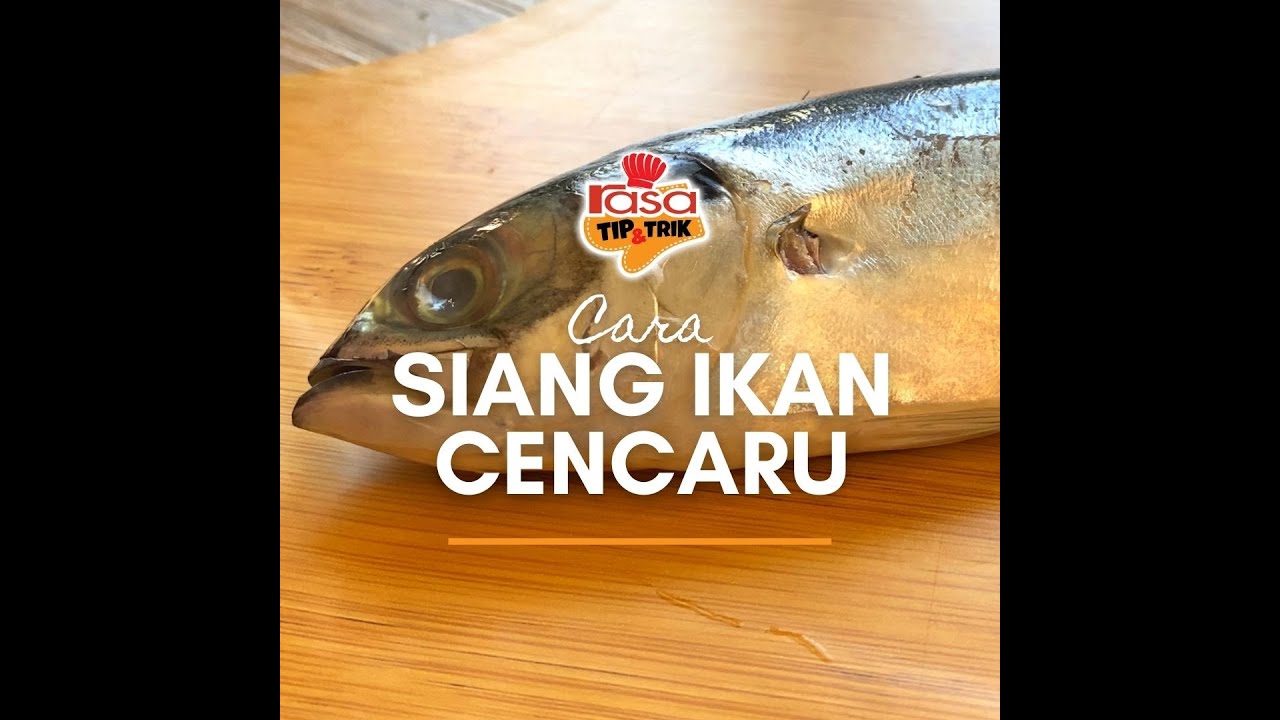 Cara Siang Ikan Cencaru | TIp & Trik
