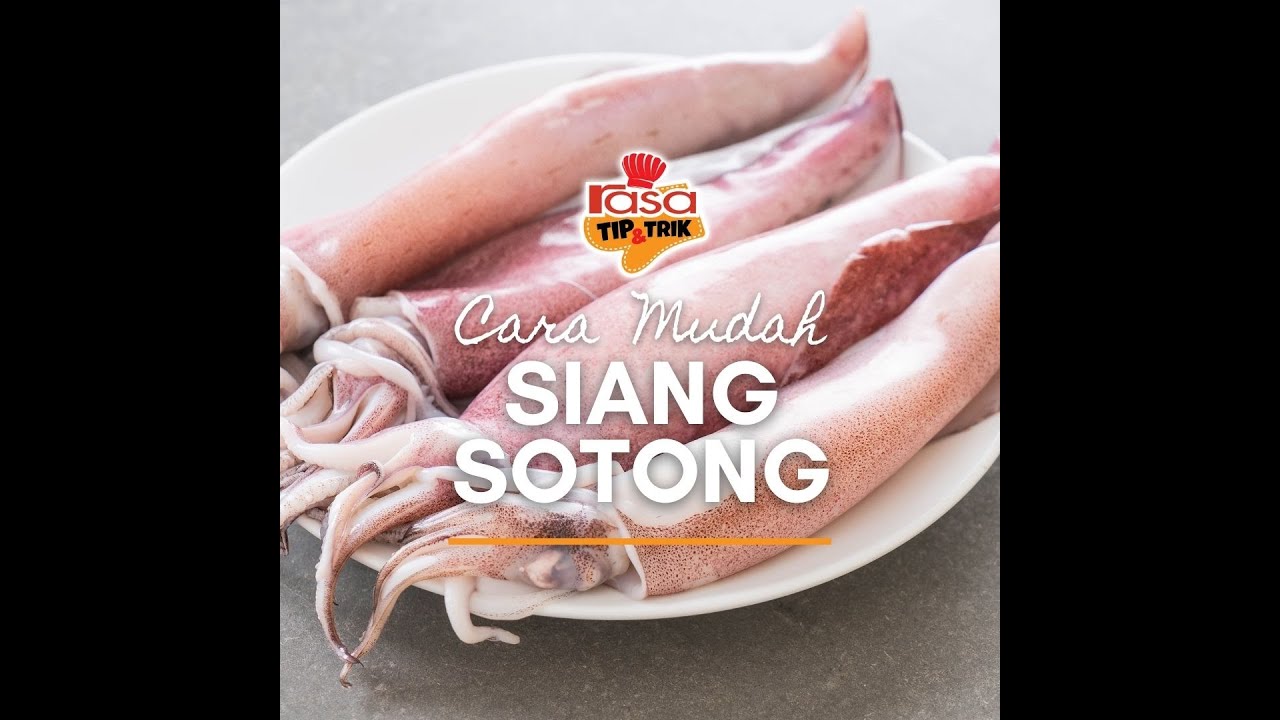Cara Mudah Siang Sotong  |  Tip & Trik