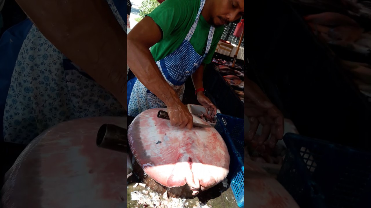 CARA - CARA MENYIANG IKAN PARI DITUNJUK CARA  OLEH SAHABAT KITA, DARI BAGAN SERAI, PERAK..tkasih