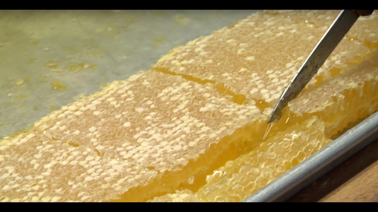 Honeycomb