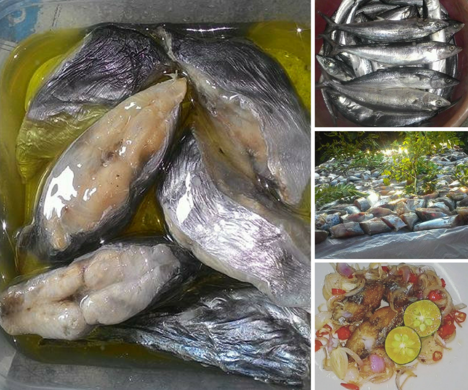 Bakar Ikan Atas Dapur Gas  Desainrumahid.com