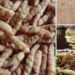 Cara Mudah Buat Ikan Bilis Pintal Rangup