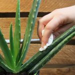 Untitled design (21)