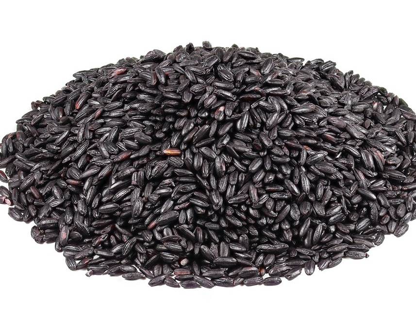 Cara Masak Pulut Hitam Sedap, Cepat & Tak Berjelatah.