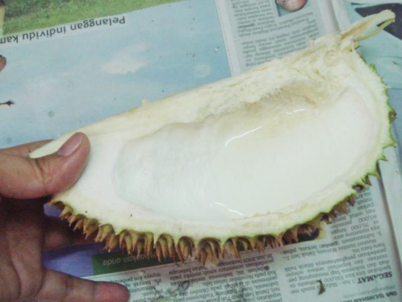 Penggemar Durian, Ini Tip Senang Hilangkan Baunya Yang Degil Tu.