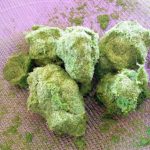 Untitled design (22)