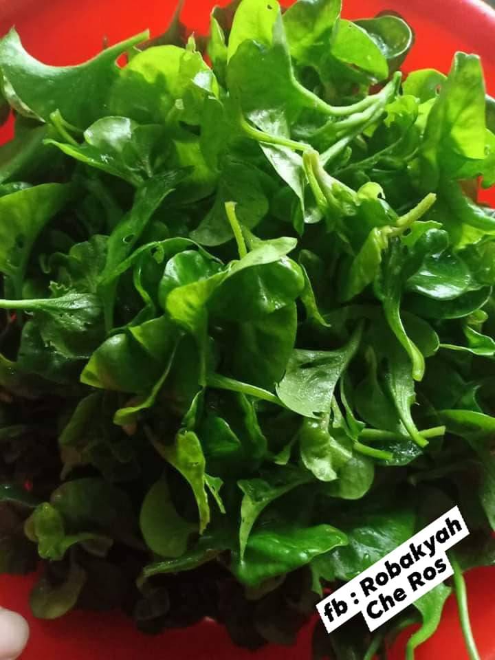 Resipi Bayam Brazil Goreng Belacan. Mudah, Sedap & Buka Selera.