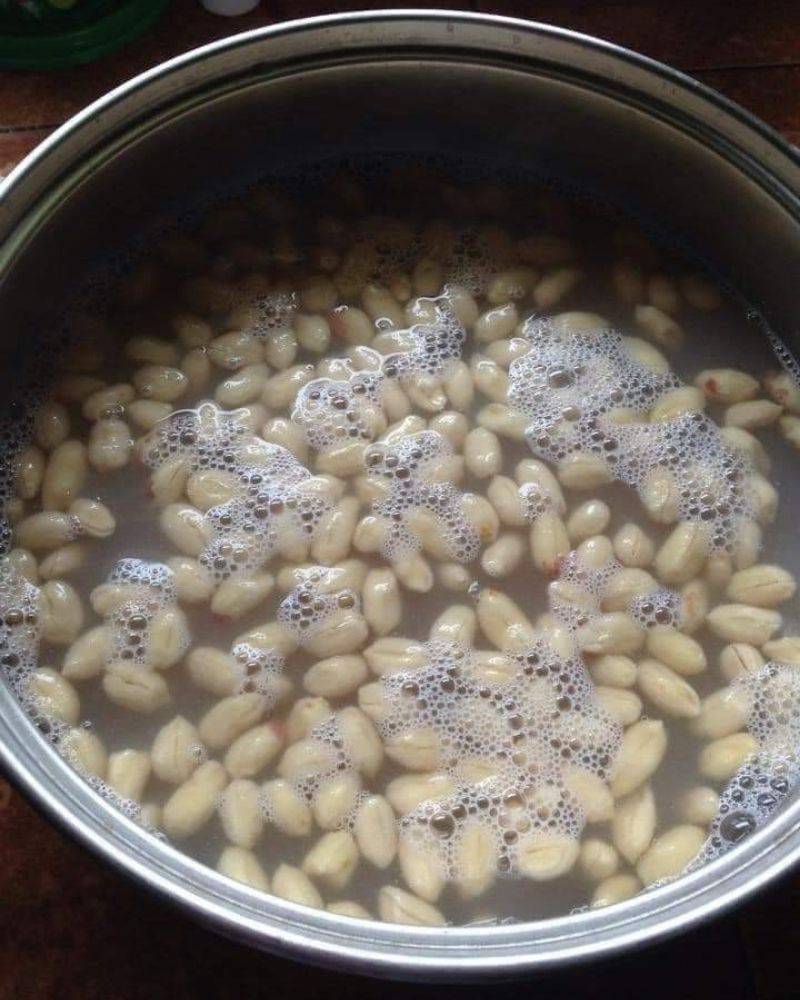 Kacang Bawang Putih Berdaun Kari&#8230; Gerenti Syok Ngunyah