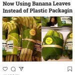 Untitled design (25)