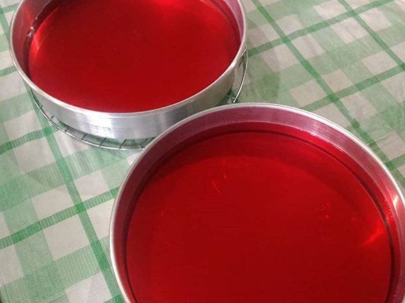 Agar-agar Ros Cantik Berkilat , Pernah Popular Zaman Dulu-Dulu.