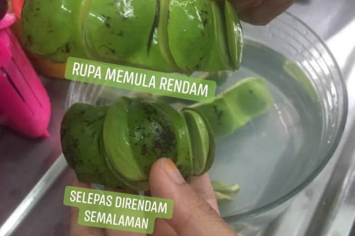 Petua Besarkan Isi Petai, Cuma Rendam Je