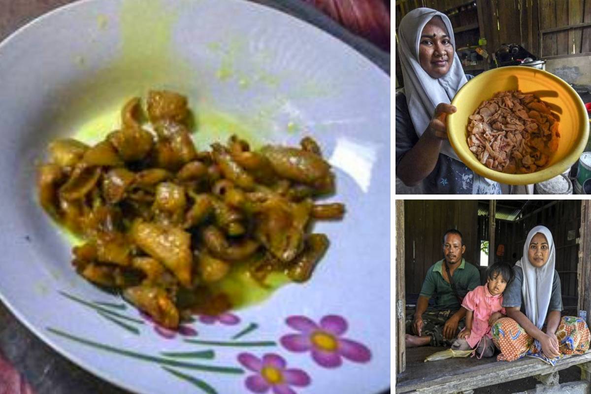 Kulit Ayam Dari Kantin Sekolah Jadi Lauk Harian