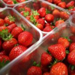 103433557_hi043051579