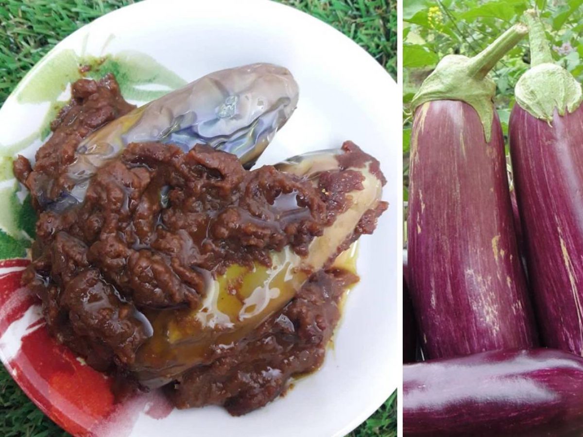 Apabila Sambal Terung Jadi Lauk Utama Sedap Dimakan Dengan Nasi Panas