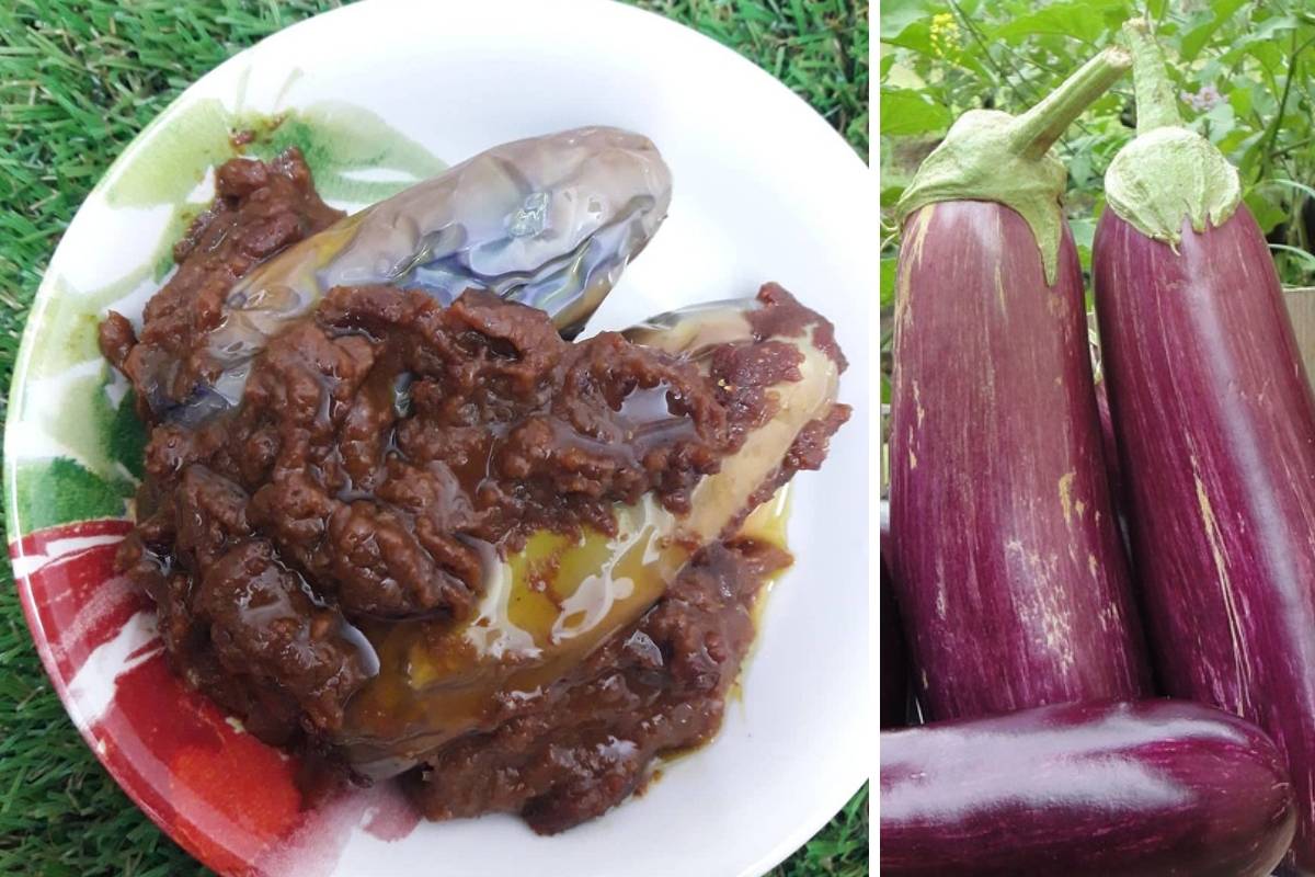 Apabila Sambal Terung Jadi Lauk Utama, Sedap Dimakan Dengan Nasi Panas