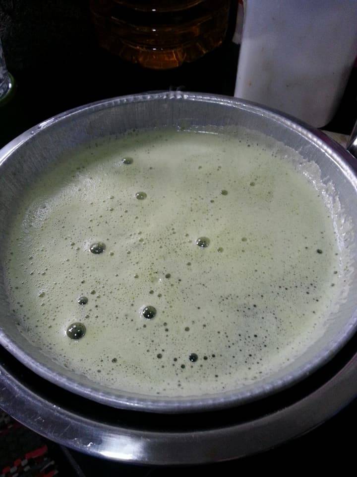 Kenali Pokok & Cara Hasilkan Cincau Secara Homemade