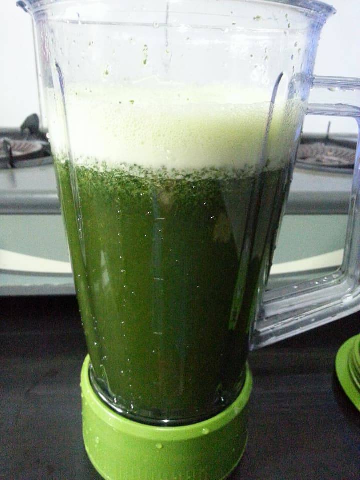 Kenali Pokok & Cara Hasilkan Cincau Secara Homemade