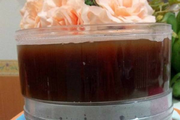 Kenali Pokok &#038; Cara Hasilkan Cincau Secara Homemade