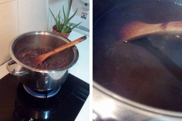 Kenali Pokok & Cara Hasilkan Cincau Secara Homemade