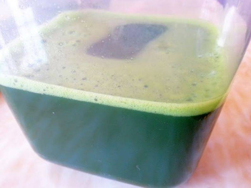 Estrak Daun Pandan Asli Homemade,  Bebas Perisa Kimia