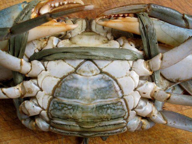Ini Cara Pilih Ketam Segar & Banyak Isi.