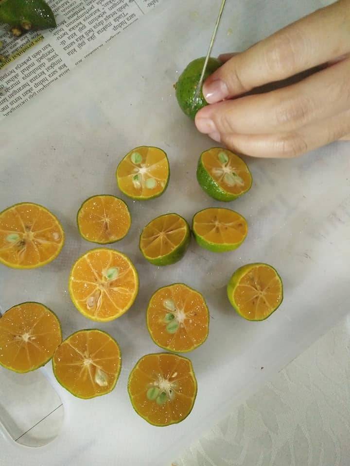 Petua Simpan Limau Kasturi Agar Tak Busuk & Tahan Lama.