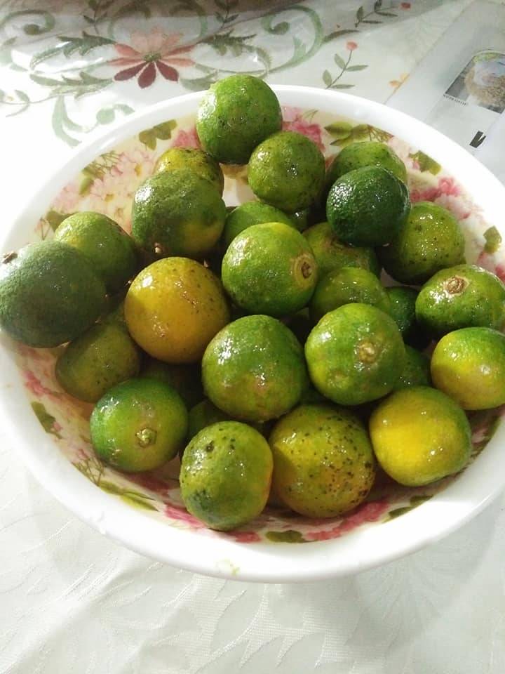 Petua Simpan Limau Kasturi Agar Tak Busuk & Tahan Lama.
