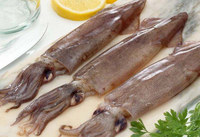 Ini Carnya Masak Sotong Tak Liat & Sedap.