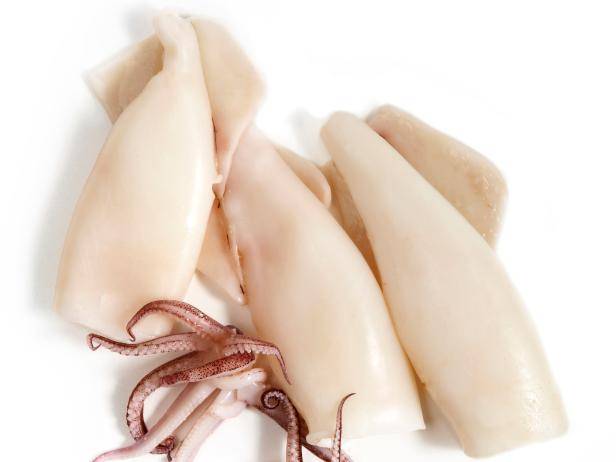Ini Carnya Masak Sotong Tak Liat & Sedap.