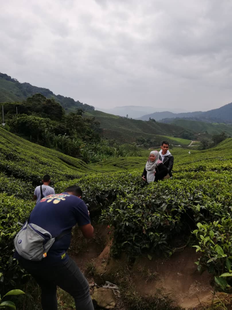 Rasa Anak Emak Anak Bapak Ep 5, Naim Daniel Dan Ibu Tersayang ke Cameron Highland Nak Masak Nasi Lemak Strawberi