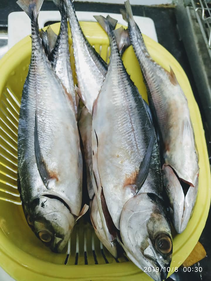 Resipi Ikan Cencaru Sumbat Sambal Daun Kesum Yang Sangat Sedap & Mudah