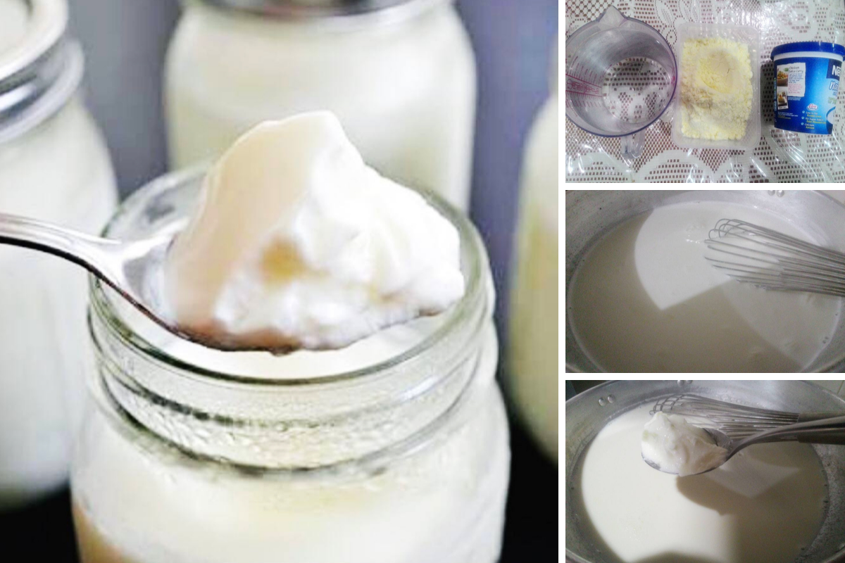 Cara-Cara Buat Yogurt Homemade Guna Susu Tepung.