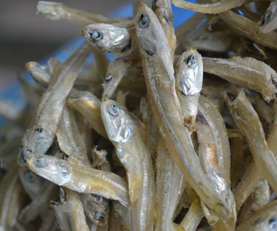 9 Cara Ikan Bilis Korang Goreng Gerenti Rangup.