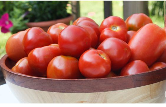 Tip Cara Simpan Tomato Agar Kekal Segar.