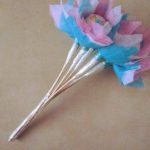 15094412_10154626237541702_6806984738147265788_n-275×300