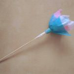 15027924_10154626237306702_7458026822046499014_n