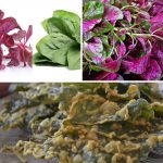 Untitled design (94)