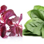 Untitled design (90)