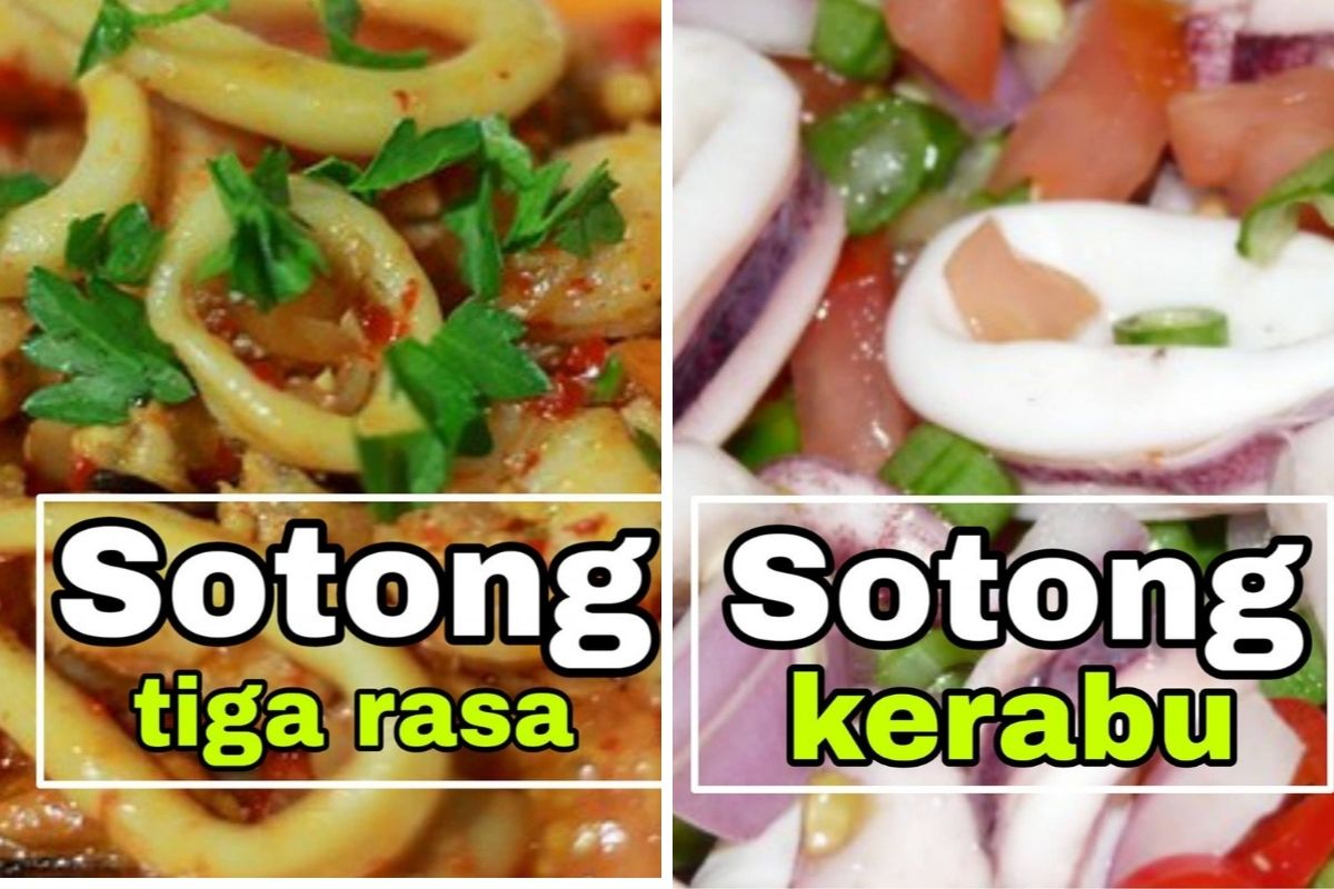 Menu Sotong Mudah Disediakan