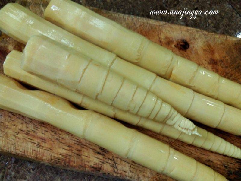 Gulai rebung campur perut…perghh gerenti makan sampai licin.