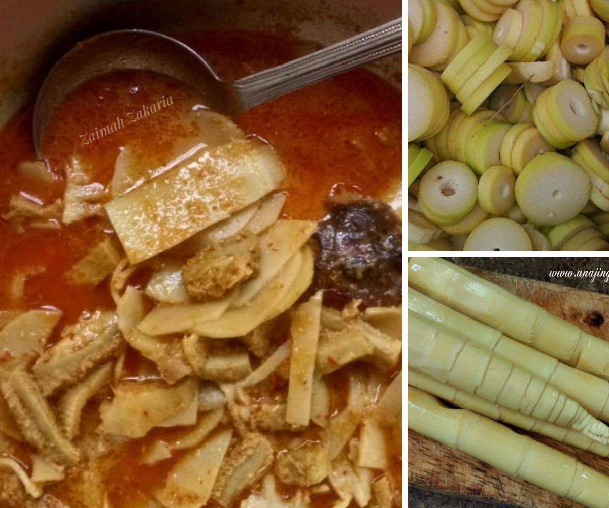 Gulai rebung campur perut…perghh gerenti makan sampai licin.