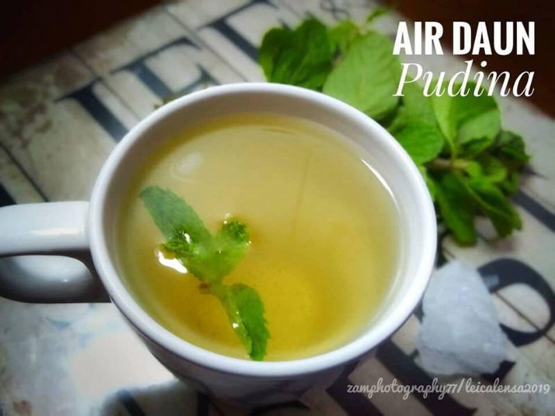 Air Rebusan Daun Pudina Dengan gula batu &#038; Madu, Boleh Legakan Batuk