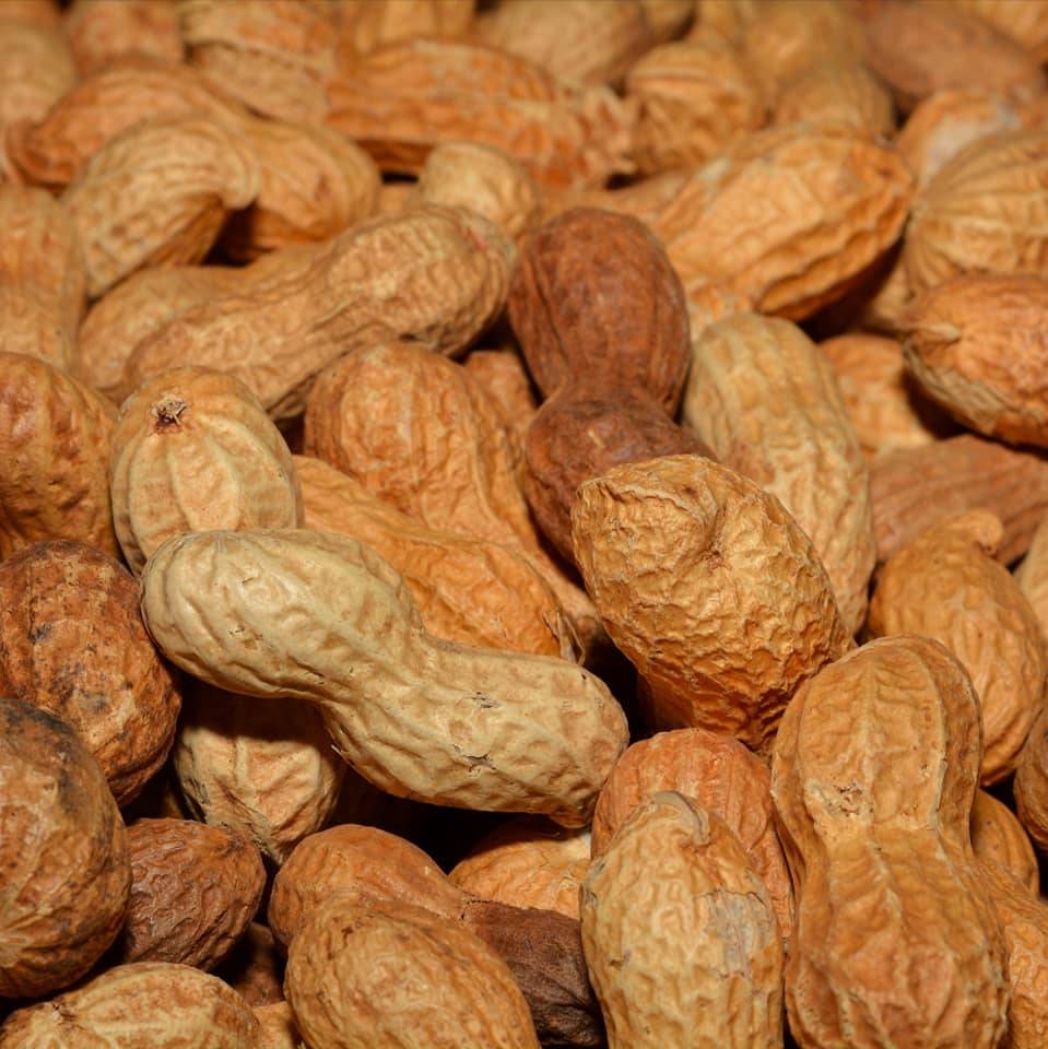 Resipi Peanut Butter Homemade Sihat Tanpa Pengawet & Garam.