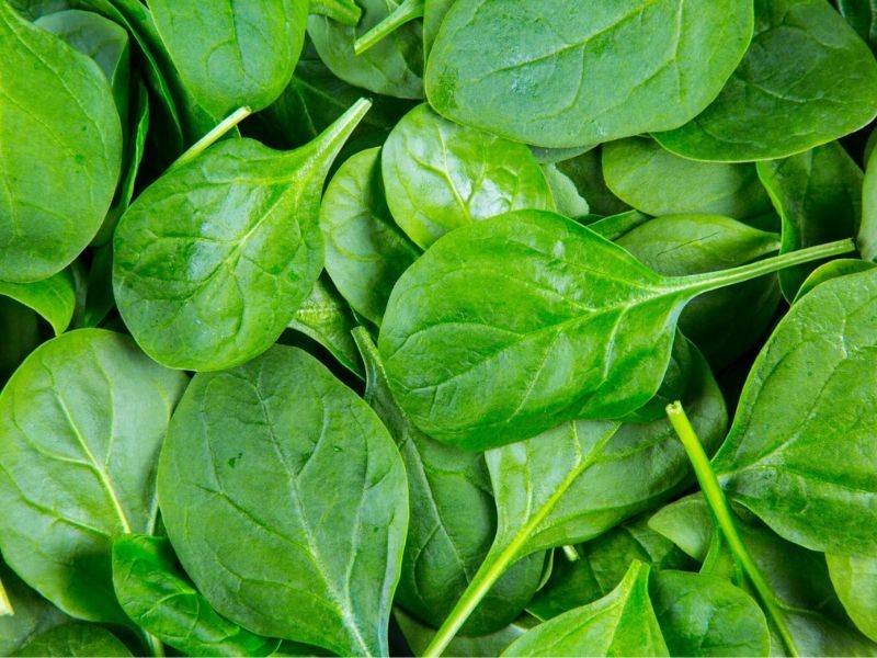 Nak Mata Cantik, Cerah & Sihat. Masukkan 5 Makanan Ini Dalam Diet Anda.