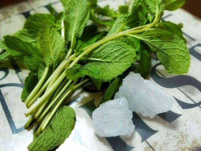 Air Rebusan Daun Pudina Dengan gula batu & Madu, Boleh Legakan Batuk
