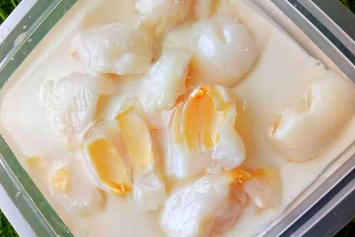 Puding Laici Berkuah Yang Sedap &#038; Mudah Untuk Berbuka