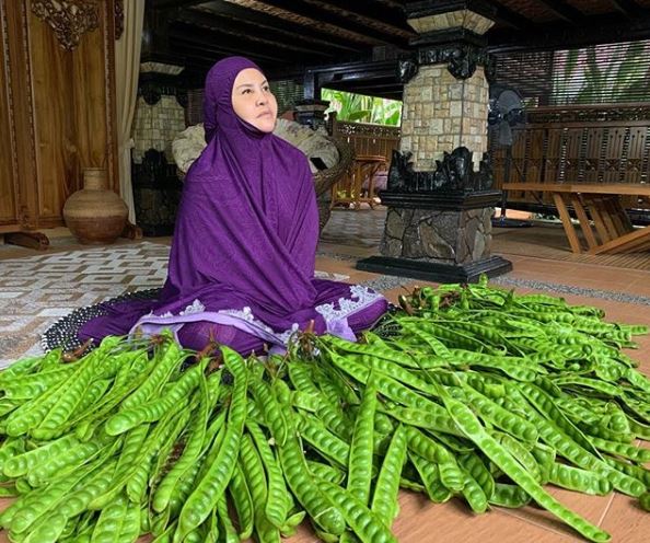Covid-19: Bonda Rozita Ibrahim Bersyukur Makanan Sumber Alam di Rumah Hutan