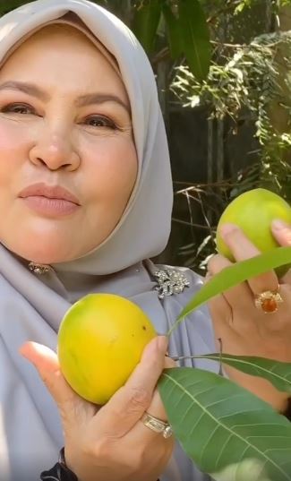 Covid-19: Bonda Rozita Ibrahim Bersyukur Makanan Sumber Alam di Rumah Hutan