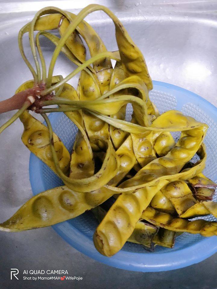 Cara-Cara Buat Petai Jeruk Homemade Yang Sedap & Tak Lembik