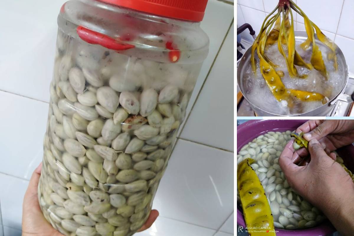 Cara-Cara Buat Petai Jeruk Homemade Yang Sedap & Tak Lembik